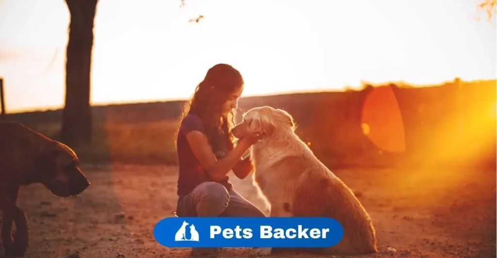 Pet Boarding Definition  | petsbacker.online