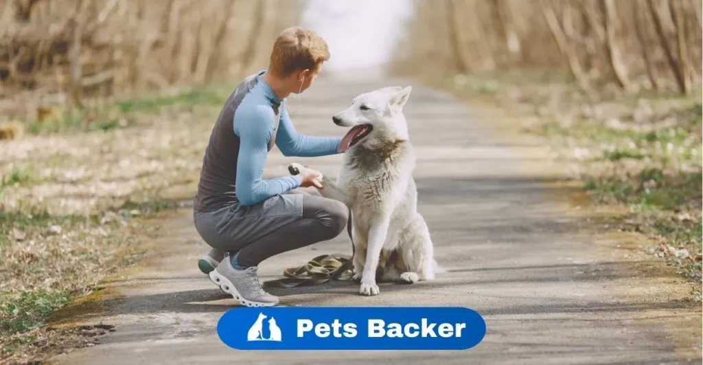 Pet Boarding Definition and Benefits