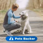 Pet Boarding Definition 3 PETS BACKER