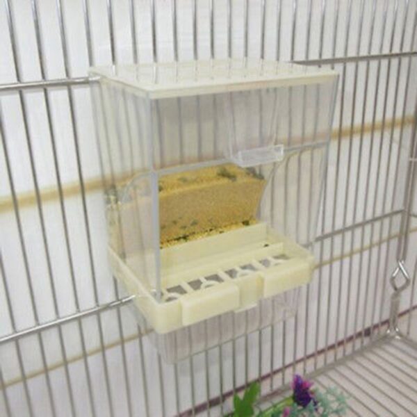 Small Size Parrot automatic feeder - Image 4