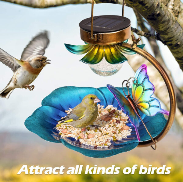 Crack Ball Bird Feeder | Solar Bird Feeder | PETSBACKER