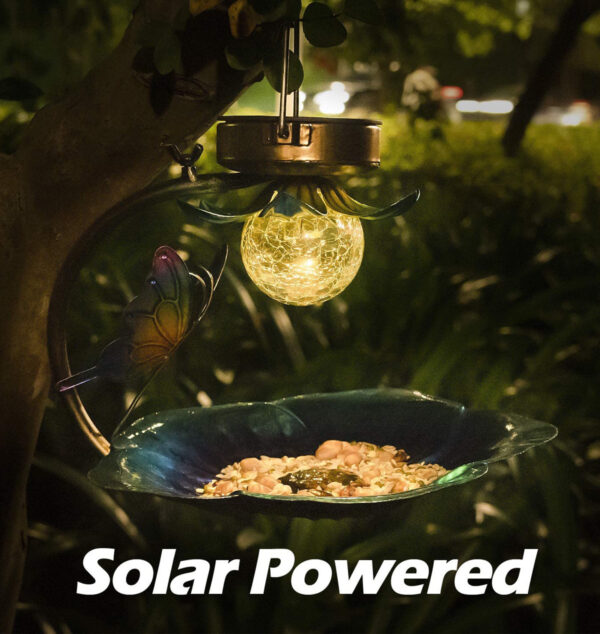 Crack Ball Bird Feeder | Solar Bird Feeder | PETSBACKER