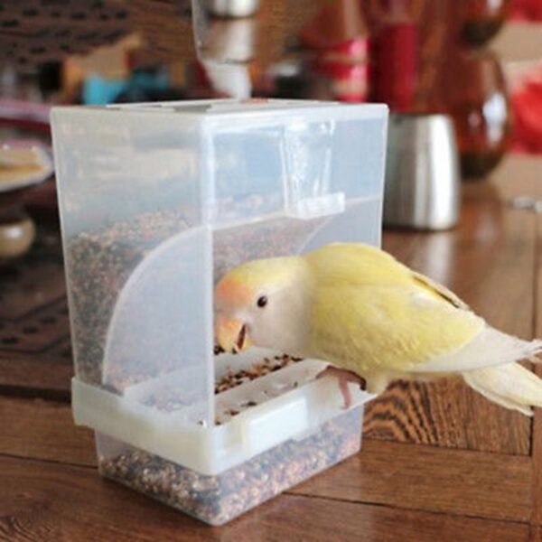 Small Size Parrot automatic feeder