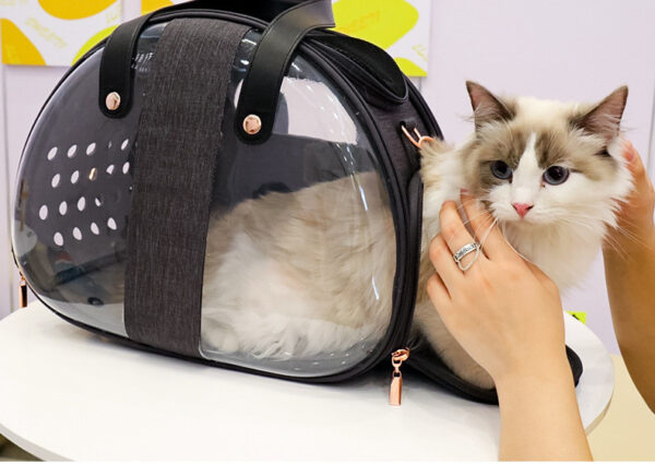 Double Fish Transparent Dog Bag Puppy Cat Cane Backpack Accessory Things Accessoires Bag Products Small Cage Pet Animal Seat Bed Double Fish Transparent Dog Bag Puppy Cat Cane Backpack Access - Image 8