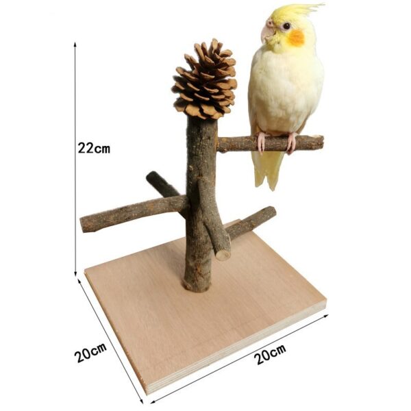 Solid Wood Parrot Station Frame Training Bird Shelf Parrot Toys - Image 7