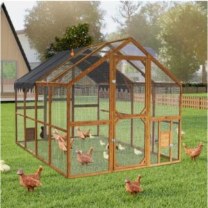 Outdoor Chicken Coop | Kitten Playpen Platforms | PETSBACKER