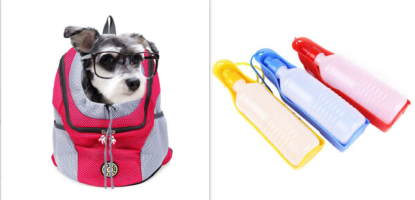 Portable Outdoor Water Feeding For Dogs - Image 2