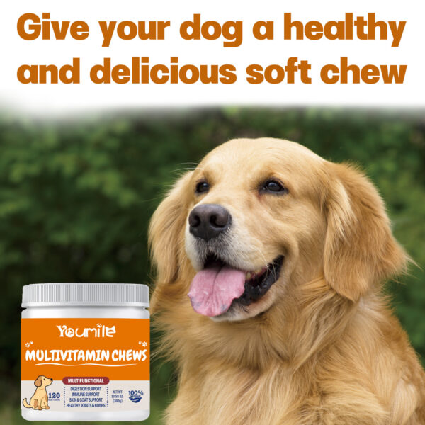 Dog Multifuctional Vitamin | Pet Vitamin | PETSBACKER