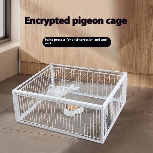 Pigeon Encrypted Cage | Pigeon Trap Cage | PETSBACKER