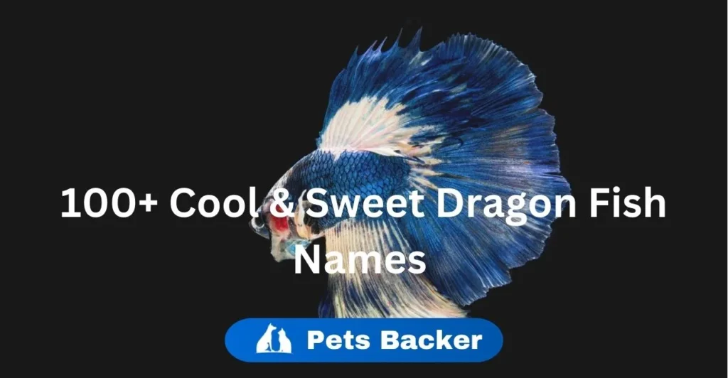 Best Names for Dragon Fish