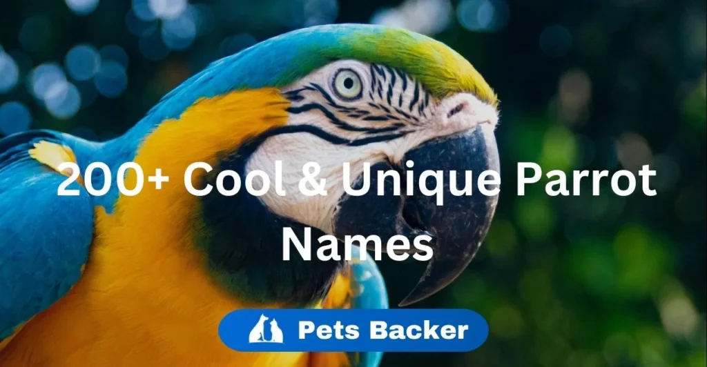 200+ Parrot Names