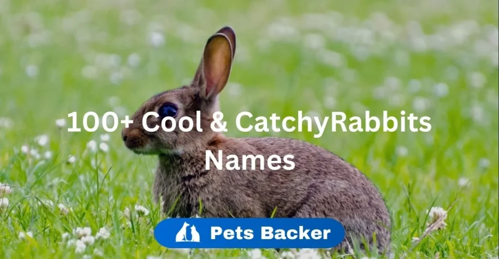 100+ Cool & Cute Rabbit Names