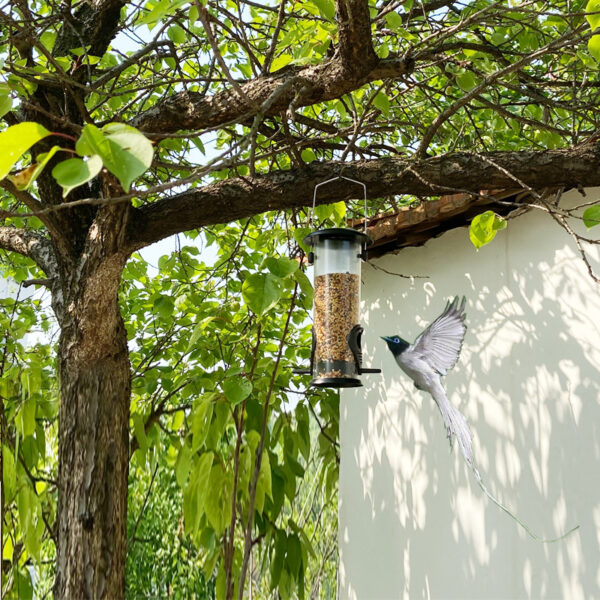 Outdoor Bird Feeder Hanging Automatic Bird Feeder - Image 2