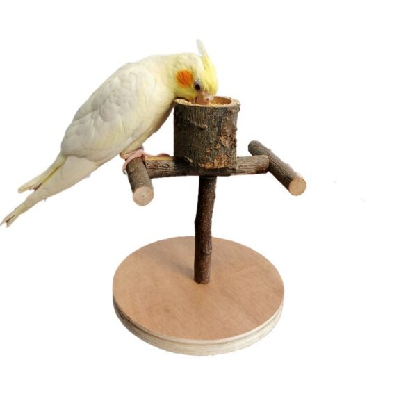 Solid Wood Parrot Station Frame Training Bird Shelf Parrot Toys - Image 4