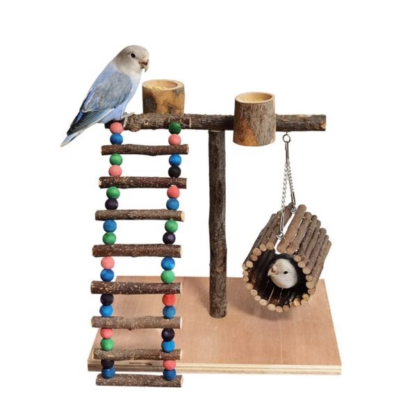 Solid Wood Parrot Station Frame Training Bird Shelf Parrot Toys - Image 2