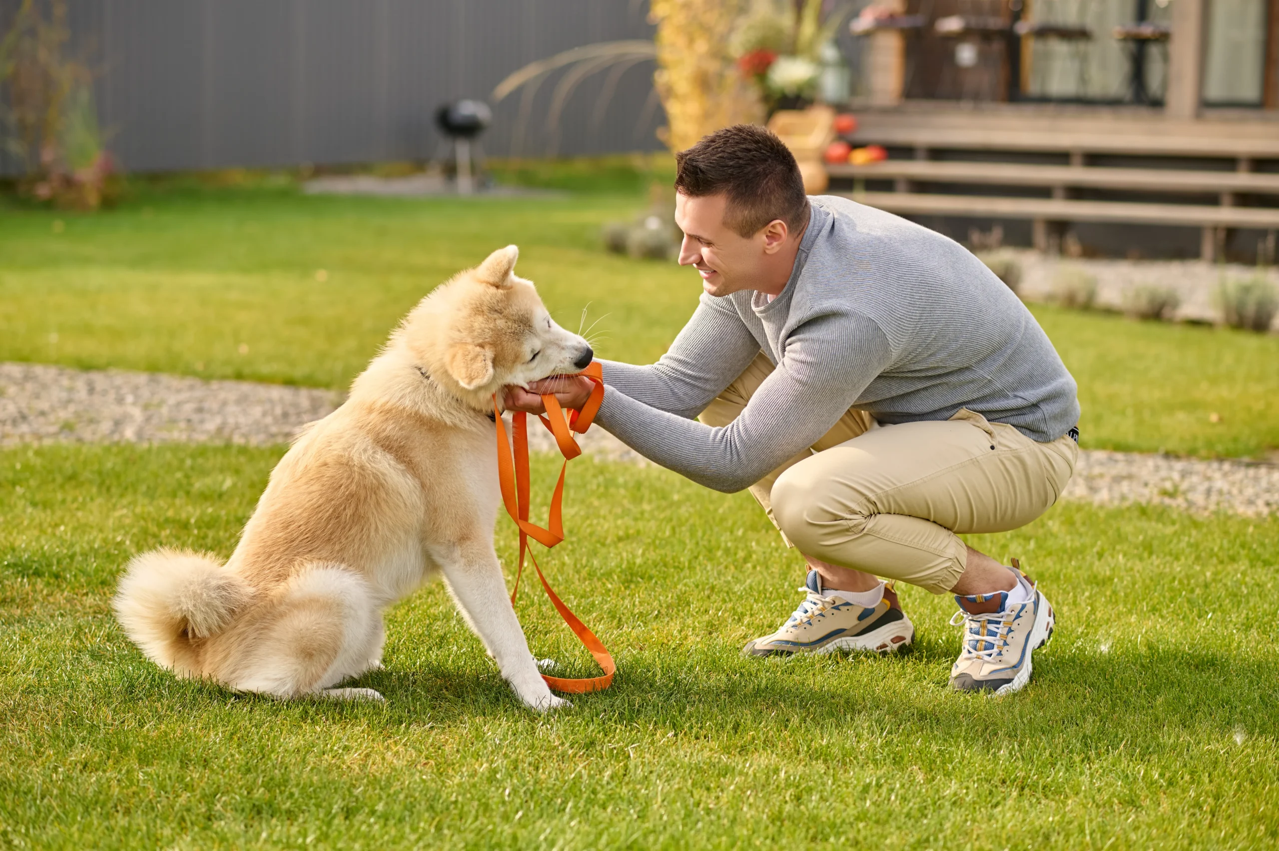 Top Pet Sitters Services with Best Prices on PetsBacker